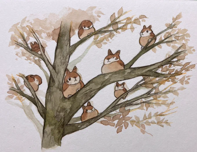 すずめの実が成ってる