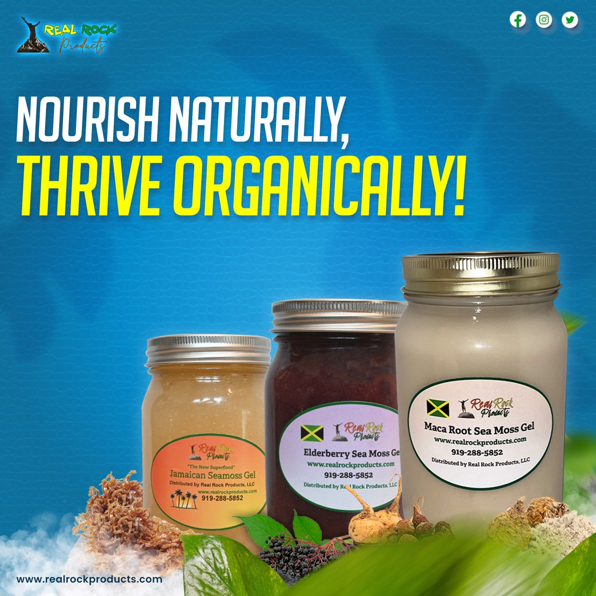 realproductz's tweet photo. Elevate your lifestyle with the power of organic! Experience unrivaled nutrition and flavor with Real Rock Products.

Embrace a healthier you today; visit our website for a taste of magic!
https://t.co/x0CjmFPVpg

#jamaicanfood #sorrel #paradise #SeaMoss #drsebirecipes #alkaline https://t.co/mfmHJyd0Qm