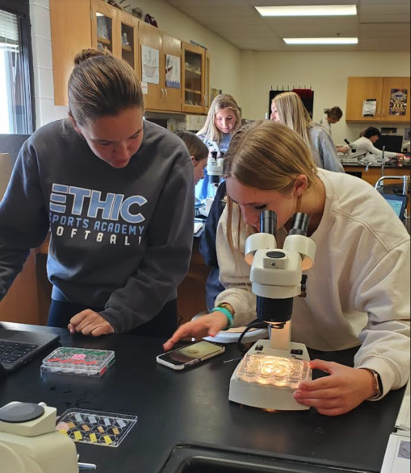 MNSDIrvine's tweet photo. AP/CAPP Bio student working on toxicology research in partnership with UW-Milwaukee. Awesome to observe authentic science in action! #mhspride @1WarriorMHS @MuskegoNorwaySc https://t.co/Ruhj9bVnv4