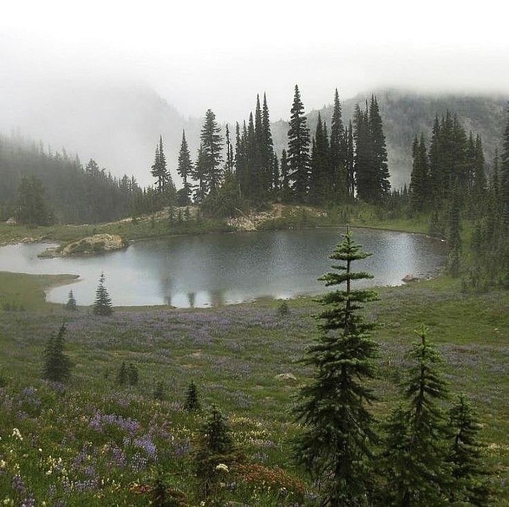 elemmiressoul's tweet photo. feel nature. https://t.co/ql04gD1oA3