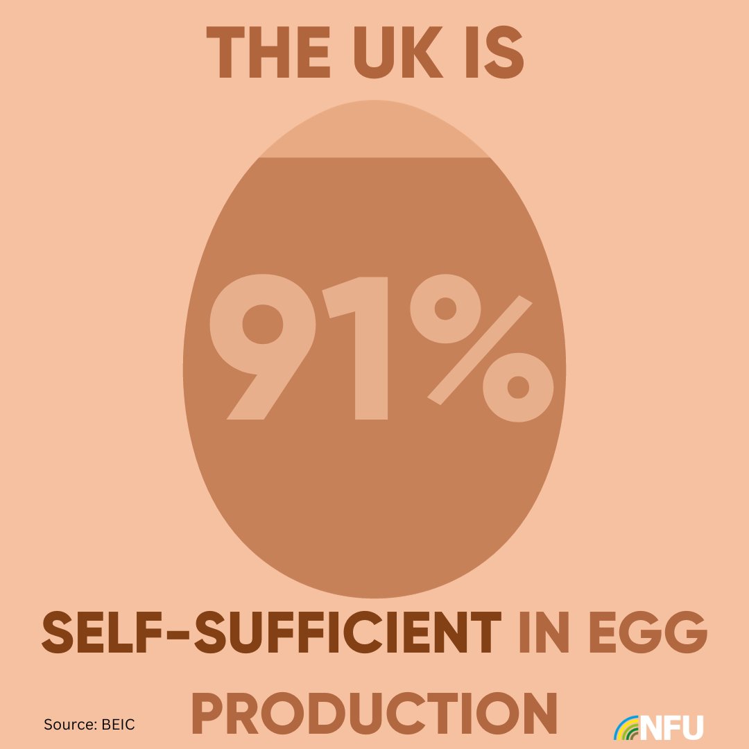 NFU Poultry (@nfu_poultry) on Twitter photo Happy #WorldEggDay 🥚 The <a href="/NFU_Poultry/">NFU Poultry</a> team are proud to support British producers, providing tasty, nutritious and high welfare eggs for consumers 🇬🇧🍳
#ProudofPoultry Happy #WorldEggDay 🥚 The <a href="/NFU_Poultry/">NFU Poultry</a> team are proud to support British producers, providing tasty, nutritious and high welfare eggs for consumers 🇬🇧🍳
#ProudofPoultry
