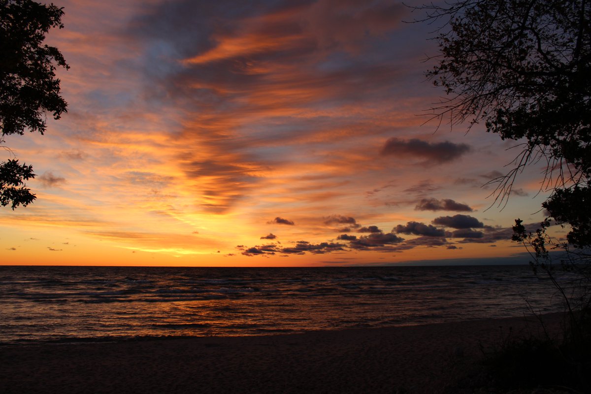 just before the sun comes up, those colors change quickly