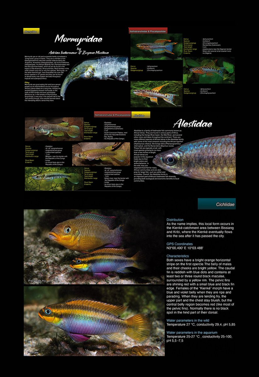 Check out this lovely book by Michel Keijman - #Freshwater Fishes of #Cameroon. What looks to be, the goto reference book of the #ichthyofauna found in this rich #biodiversity hotspot. #Aquarium #AquariumHobby #Fishkeeping #Aquarist #Cameroon #Ichthyology

freshwaterfishesofcameroon.com