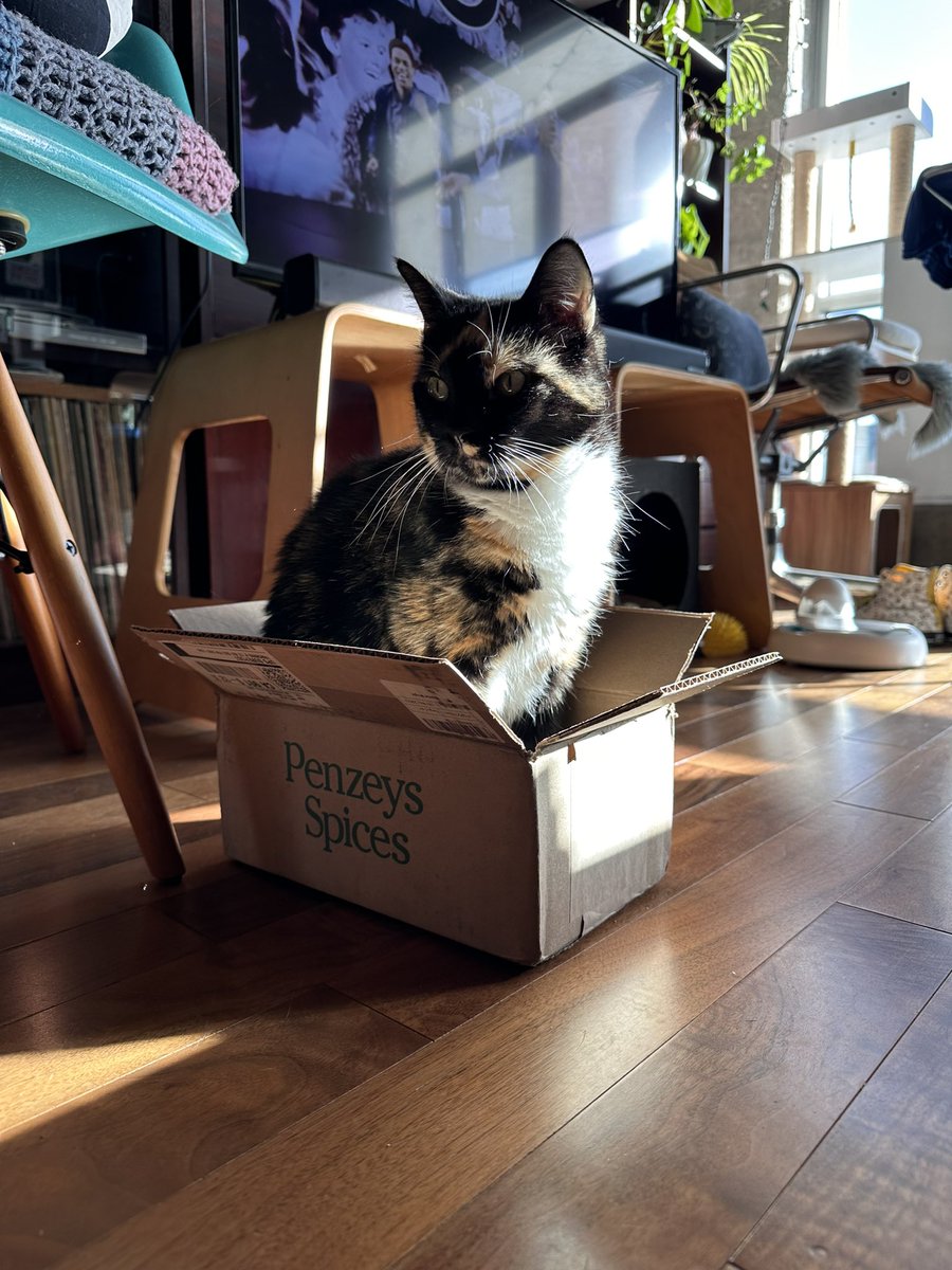 ch's tweet image. New @PenzeysSpices spokescat just dropped. #PennyArcade