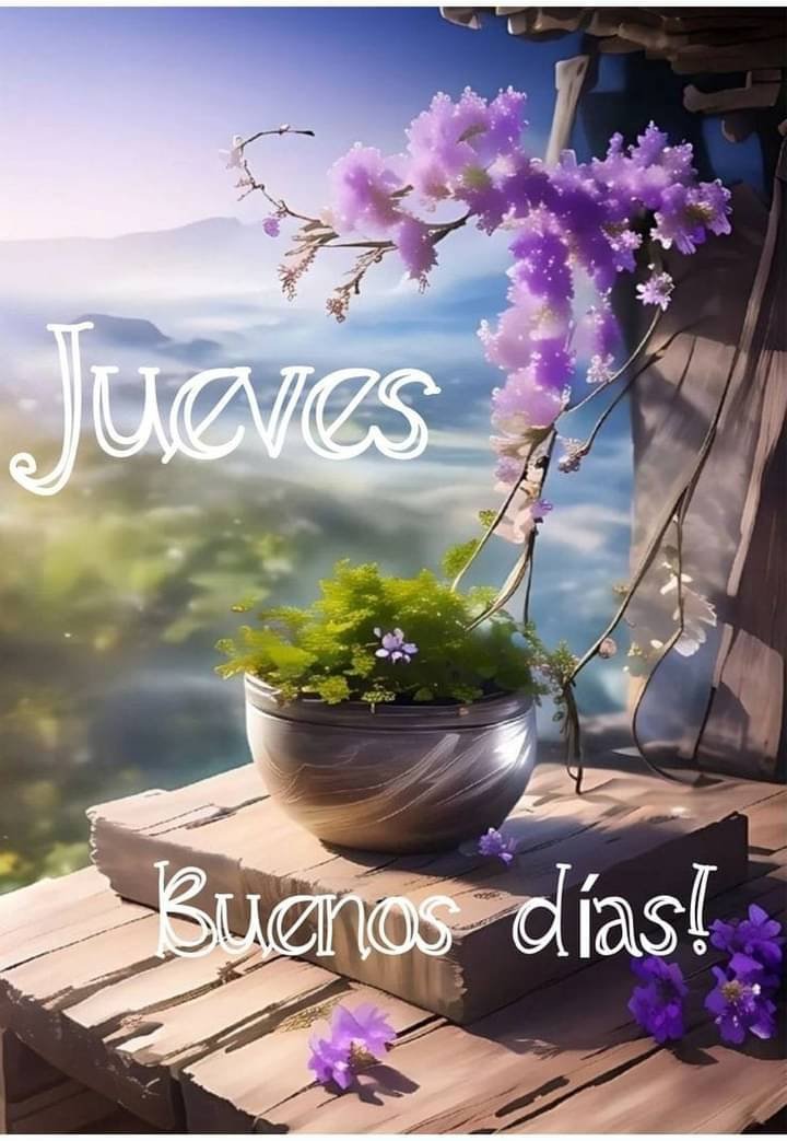 Elizabeth_C_M_'s tweet photo. Con toda la mejor actitud positiva 🌻 https://t.co/FZyT7yx0lY