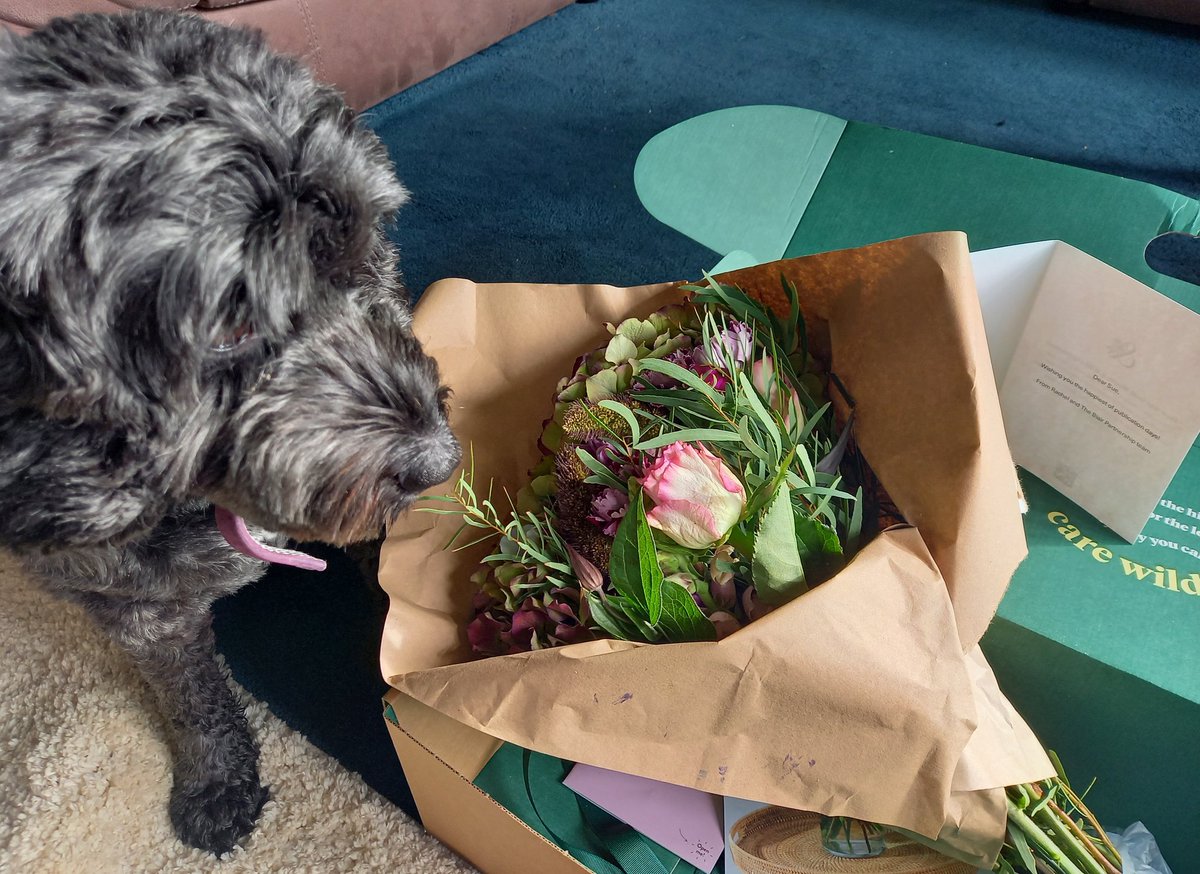 susywrites's tweet photo. Thank you so much to the awesome @Rachel_petty_ and team at @TBP_agency for wonderful support and the most BEAUTIFUL publication day flowers 💐
#TotallyDeceased #dogblogger https://t.co/A6JdZQjJ2J