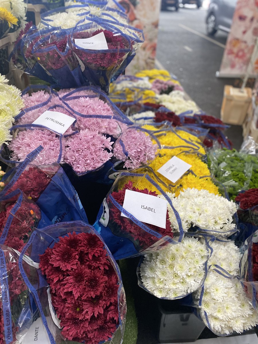 MinNantes's tweet photo. 👇 ÉVÉNEMENT👇
Ce matin, au @MinNantes , le pôle horticole ouvrait ses portes et vendangeait ses prix ! L’occasion de découvrir les fleurs, plantes, décorations et les offres spéciales de Peigné Fleurs, FleuraMetz, Horticash, Rosedor Penja et Renaud Distribution. 🌺
Retour en images 😍