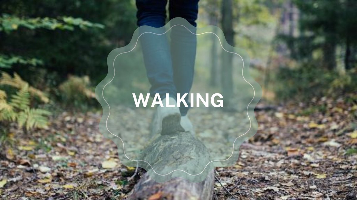 GreenTeacherMag's tweet photo. Our summer issue features an article by Gillian Judson: Not Just for Kids, A Walking Curriculum for Teacher Professional Learning.
We would love to hear what you think!
#educationalmagazine #greenteacher #walkingcurriculum #environmentaleducation #teachers https://t.co/8n4I1vkEdH