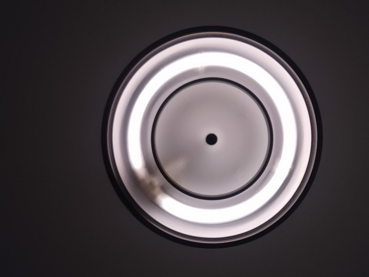 Annabel Spinks-Jones 💬 tweet media