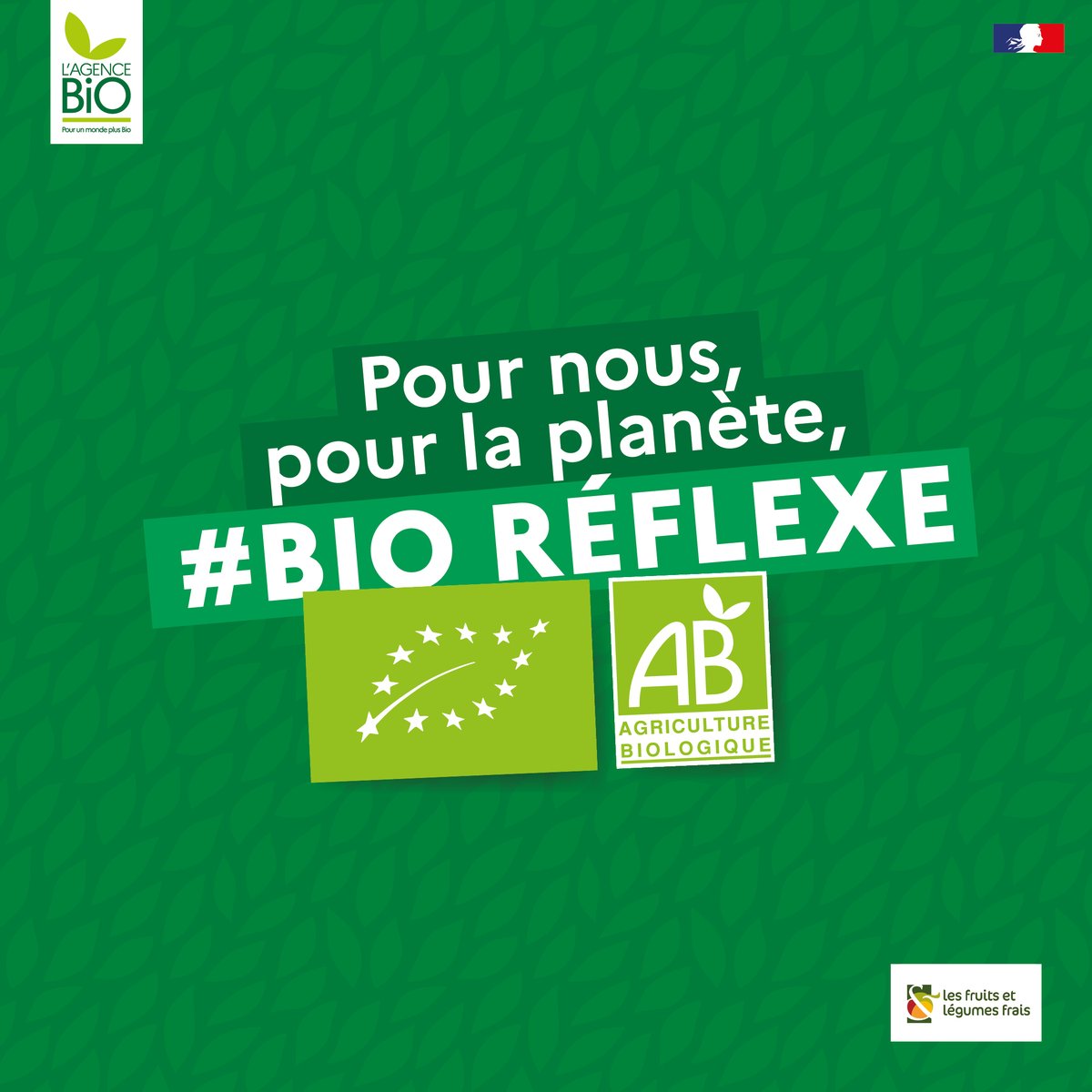 Interfel's tweet photo. 👨🏻‍🍳 Le chef Thibaut Spiwack nous donne ses conseils #bioreflexe avec les fruits et légumes frais. 🥕 🍎 🍋

Découvrez notre salade d'automne sur le site des #fruits et #légumes frais en cliquant sur le lien 👇🏻
https://t.co/xsp0PeYtj6 https://t.co/AnyEwGZtUK