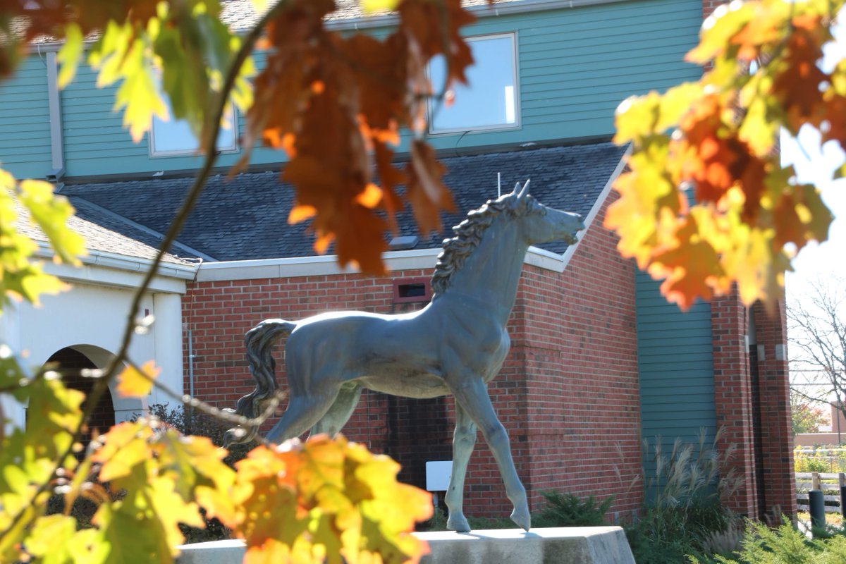 We wish all of our future Buckeye veterinarians a wonderful and relaxing fall break! 🍂🍁