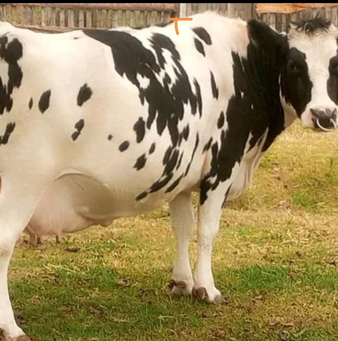 biranzi ibrahim (@ibrabinz) on Twitter photo 