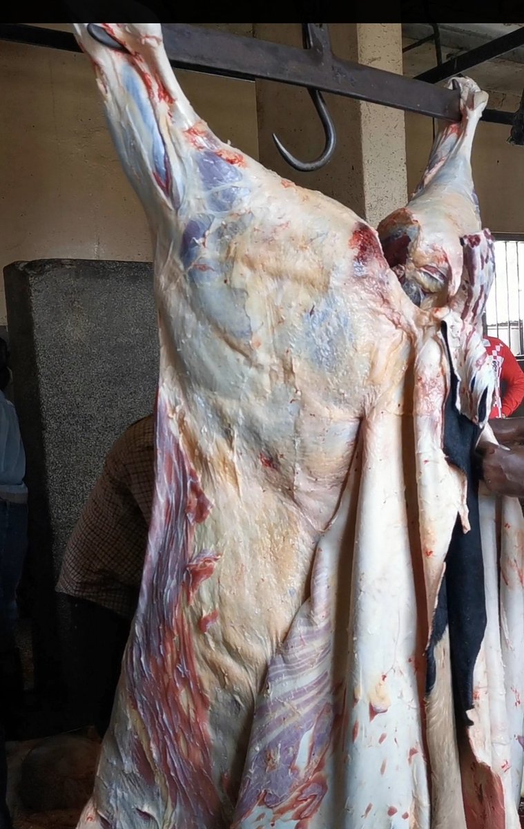 biranzi ibrahim (@ibrabinz) on Twitter photo 