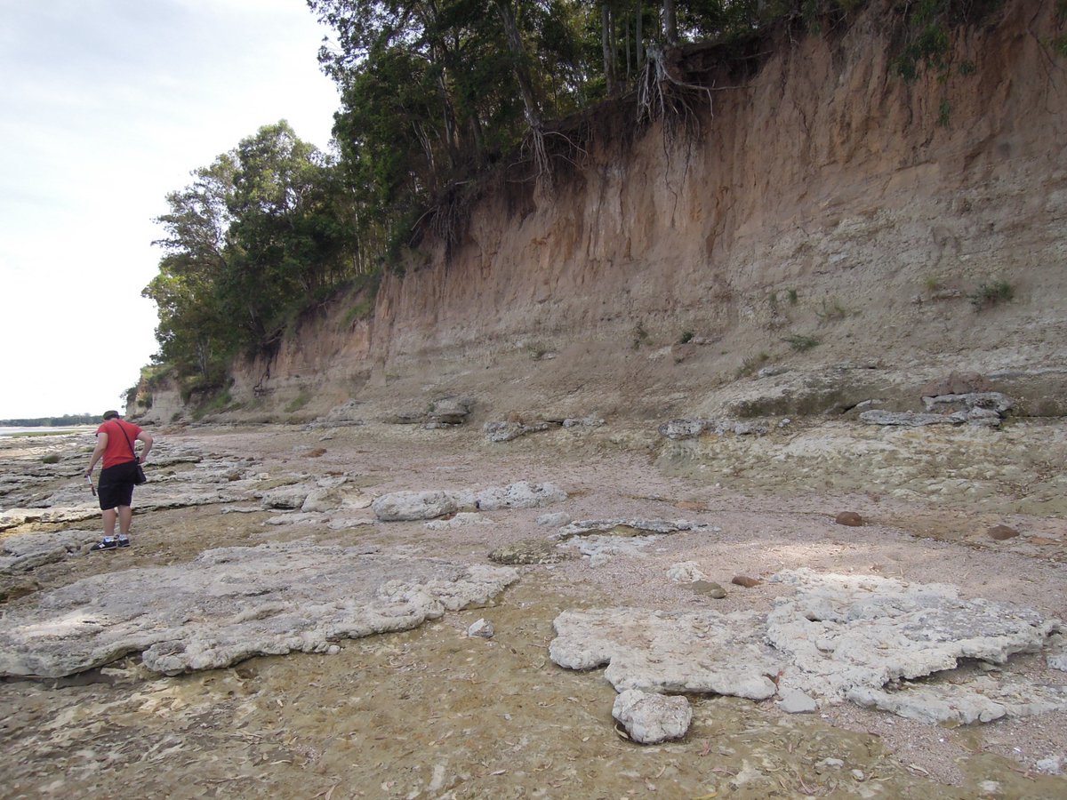 uyfossilday's tweet photo. ¿Sabías que en Uruguay hay fósiles de ESCUDOS DE MAR?
Cuatro especies se han hallado en el departamento de Colonia, en rocas originadas en un mar de aguas cálidas hace unos 7 millones de años.

¡Vení a conocerlos el 8 de noviembre en la @fcien!

#FossilDay2023
@ASergiouyuy https://t.co/BxBTmXPkXY