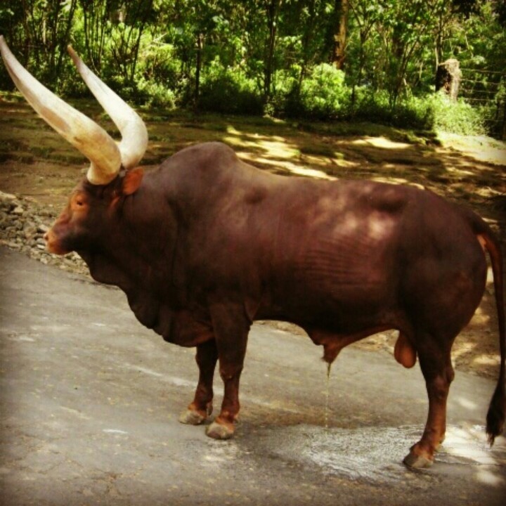 biranzi ibrahim (@ibrabinz) on Twitter photo 