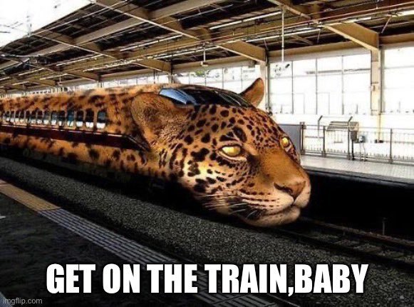 Jaguars follow train. 

No Jags fan should be under 1k followers. Comment #NoJagsfanUnder1k Follow everyone that comments and follow everyone back that follows you. RT to spread the message.

#JagsTwitter #DUUUVAL #NoJagsFanUnder1k