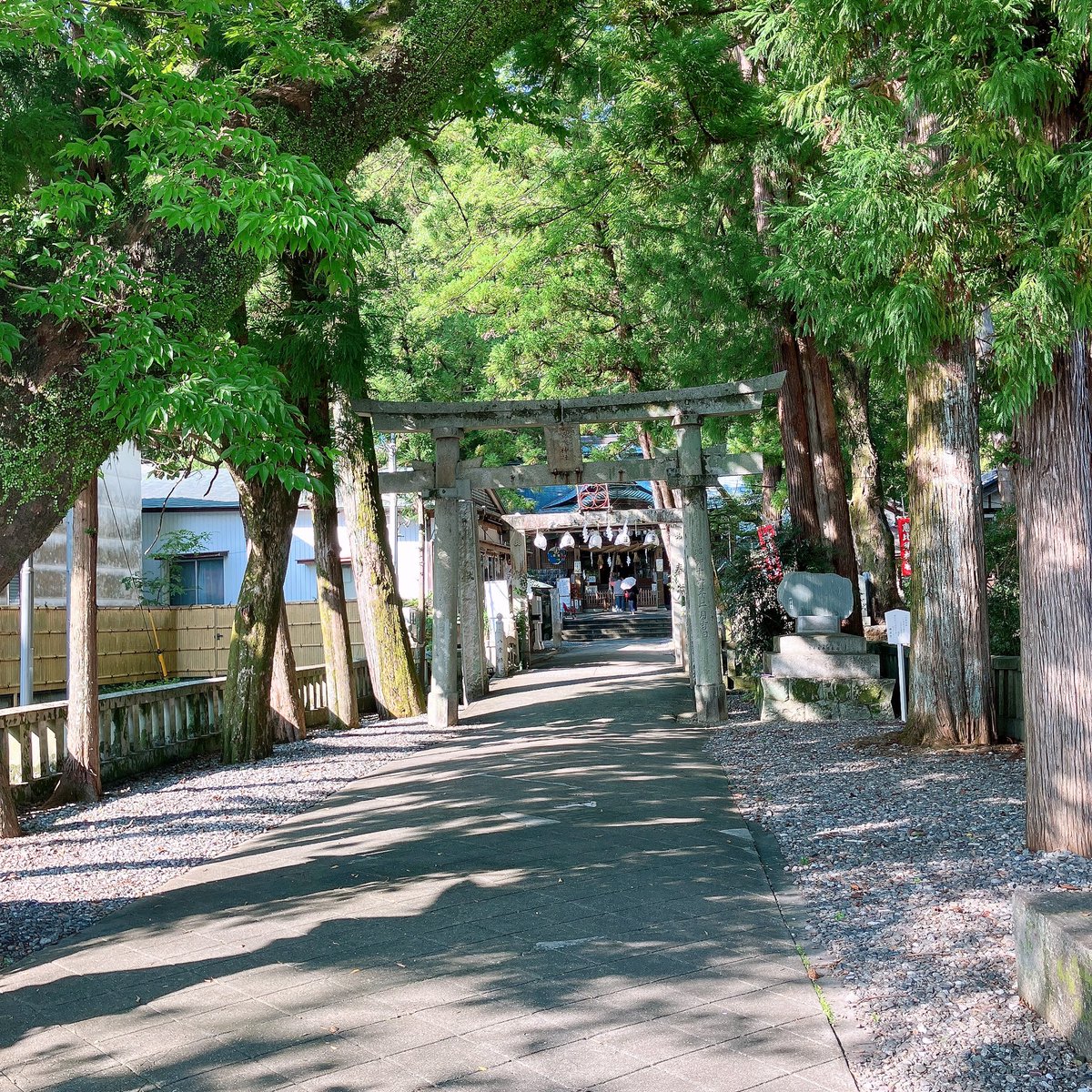 happym_k's tweet photo. 神社へ行って、おみくじ引いたら、大吉だった〜！！
良い事、起きそう！！

#神社
#大吉 https://t.co/9w88XlSOy1