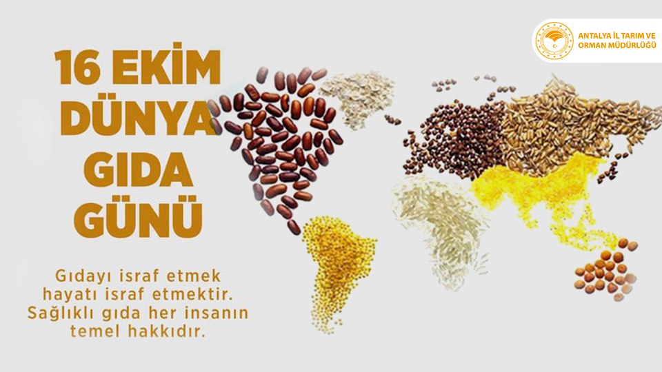 Antalya İl Tarım ve Orman Müdürlüğü (@antalyailtarim) on Twitter photo 16 Ekim #DünyaGıdaGünü
Daha iyi ve sürdürülebilir bir dünya için #güvenilirgıda üretelim, israfı önleyelim, sağlığımızı ve geleceğimizi koruyalım.
#Alo174GıdaHattı
#GelecekTarımda
<a href="/ibrahimyumakli/">İbrahim Yumaklı</a>
<a href="/FratErkal/">Fırat Erkal</a> 16 Ekim #DünyaGıdaGünü
Daha iyi ve sürdürülebilir bir dünya için #güvenilirgıda üretelim, israfı önleyelim, sağlığımızı ve geleceğimizi koruyalım.
#Alo174GıdaHattı
#GelecekTarımda
<a href="/ibrahimyumakli/">İbrahim Yumaklı</a>
<a href="/FratErkal/">Fırat Erkal</a>