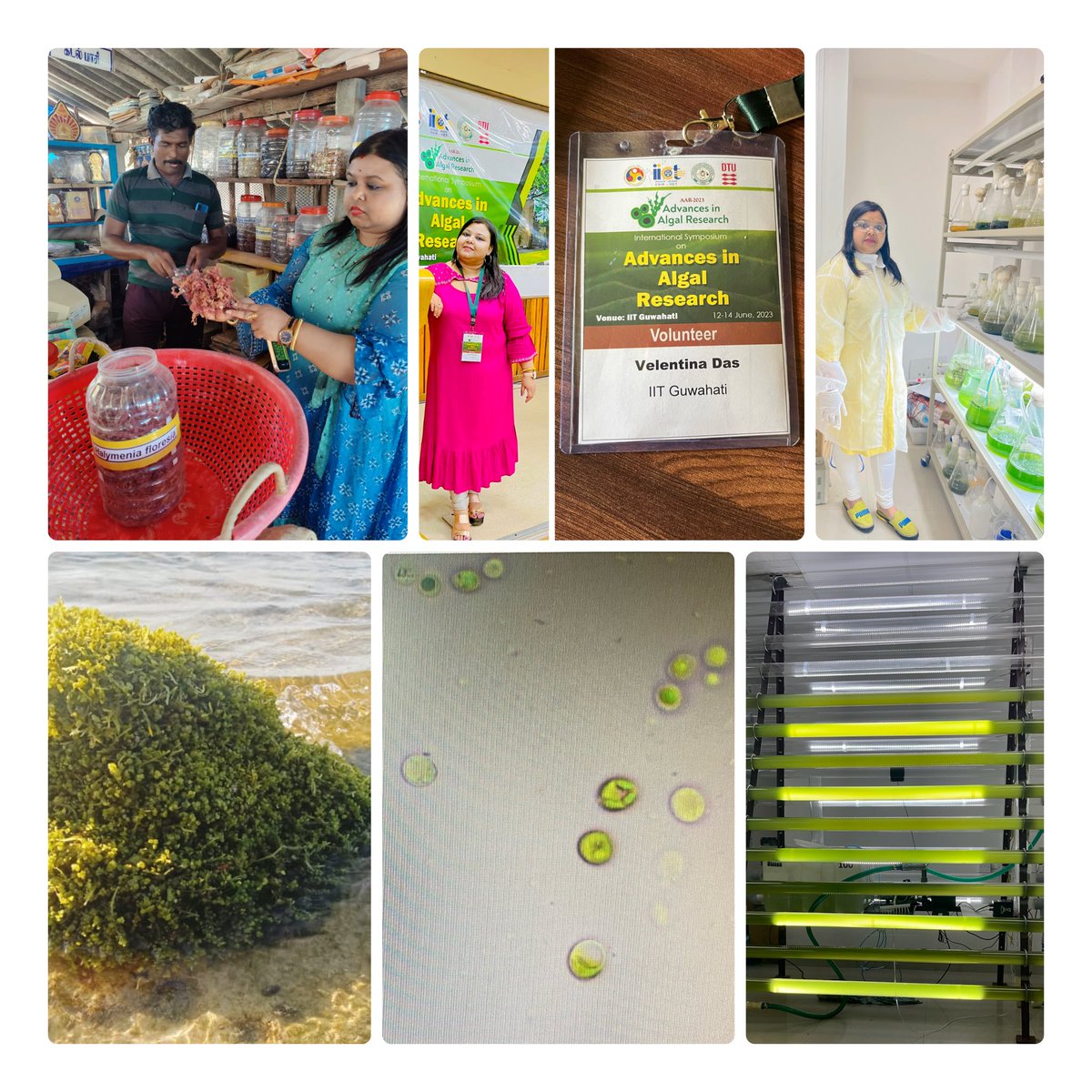 DasVelentina's tweet photo. Happy World Algae day 💚👩🏻‍🔬
Algae is super food, algae is super fuel, algae is bioplastic, algae is super catalyst and the next most wonderful green gold.
Woman in STEM working on Algae Bioprocessing engineering.
#algae #Worldalgaeday  #WomenInSTEM #postdoctoral 
#Fulbright https://t.co/6ZcSVVxt9C