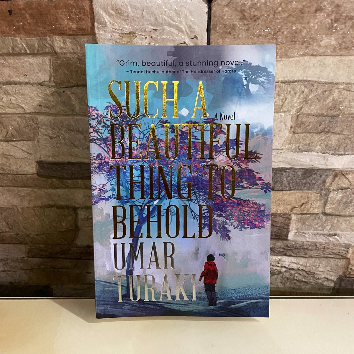 A thread of African Fiction you should definitely read📚

Which ones have you read and would you always recommend?