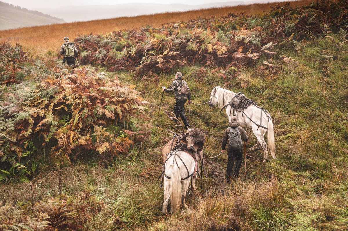 As Red Deer Stalking almost draws to a close for another year*, let's enjoy some of those enchanting moments!

*Sporting Seasons: ttps://countrysportscotland.com/other-info/shooting-seasons/

Book quickly to avoid missing out!

#stalking #stalkingUK #StalkingScotland #RedDeer