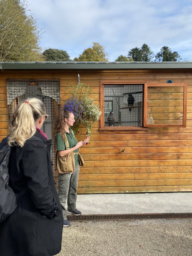 Getting ready to start our afternoon experience <a href="/Falconry/">Ireland Falconry School</a> on the grounds of <a href="/ashfordcastle/">Ashford Castle</a> with our buyers from 🇦🇺🇳🇿#Ireland #FAMtrip #Luxurylife