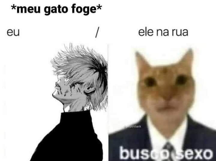 shitpostverdade's tweet photo. https://t.co/vGVxPySwMt