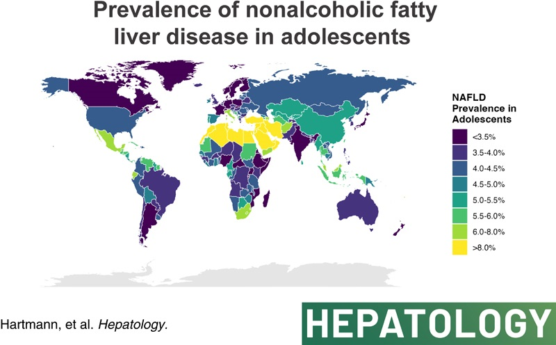 HEP_Journal's tweet photo. Hartmann P et al. Prevalencia global y nacional de la enfermedad del hígado graso no alcohólico en adolescentes: un análisis del estudio de carga global de enfermedad 2019
#LiverTwitter
https://t.co/jnPse5alIH https://t.co/Gvg2LYUCif