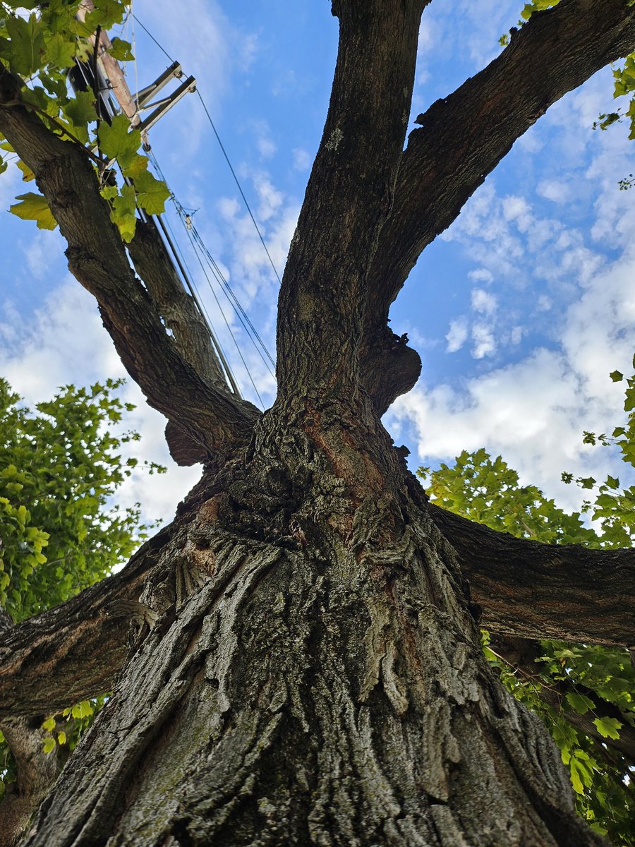 jeffrey_jpeg's tweet photo. Photos straight out of camera, taken on the @SamsungMobileUS Galaxy Z Flip 5 powered by the @Snapdragon 8 Gen 2 #ForGalaxy
#ShotOnSnapdragon #WithGalaxy https://t.co/wQU46vyotS