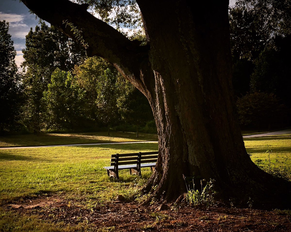 Felipe Barral tweet media