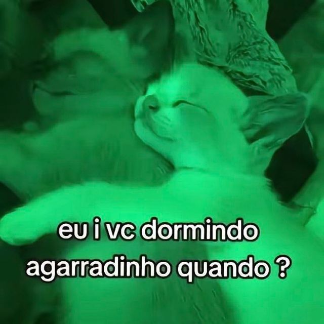 memeparaoarroba's tweet photo. https://t.co/t0Fz1bSZuL