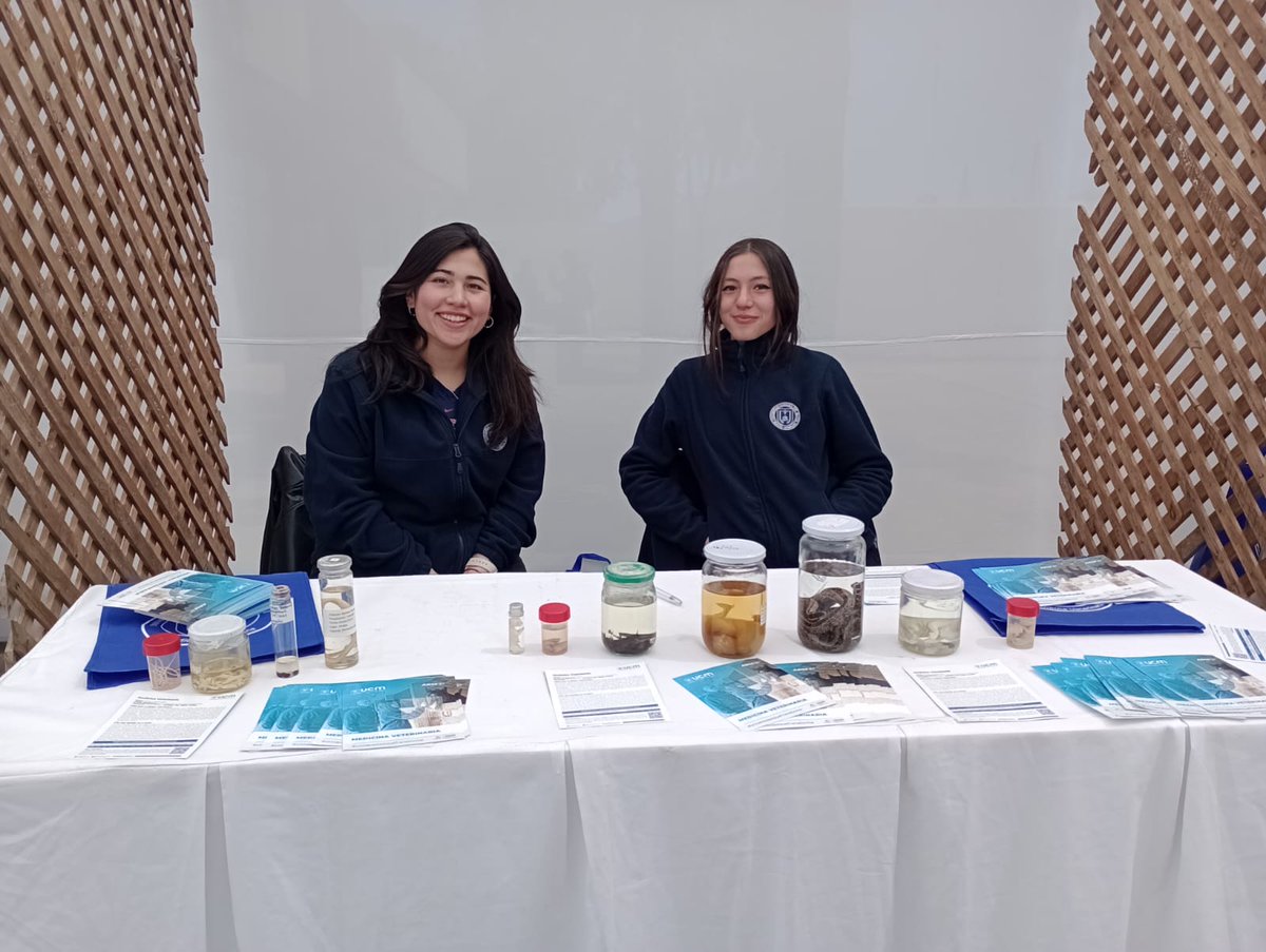 Patcaa's tweet photo. #ExpoUCM #Admision2024 Campus San Miguel @ucatolicamaule https://t.co/iK8OtX25FN