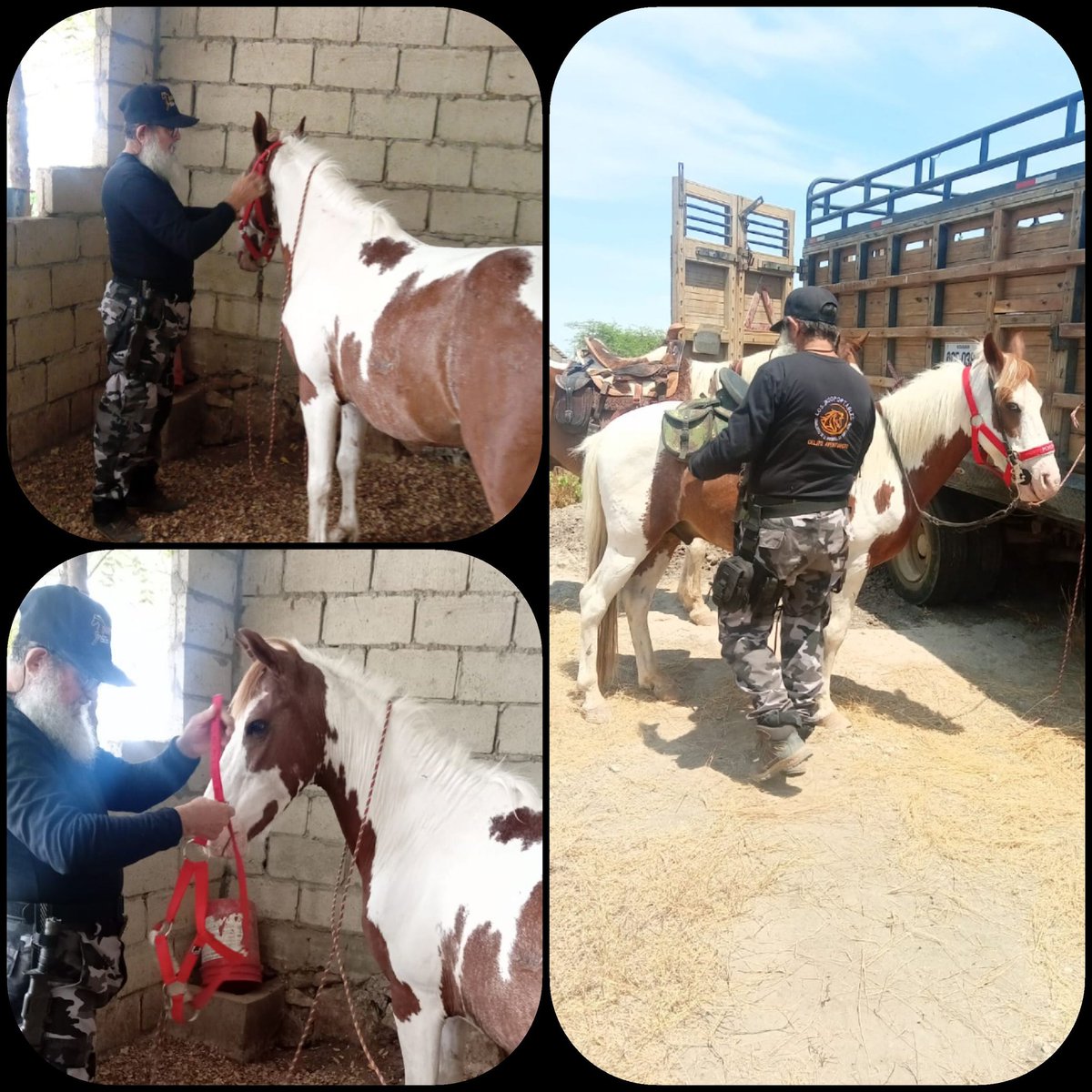 joseadanceli's tweet photo. Sta Elena Ecuador. https://t.co/guYz6hGZFm