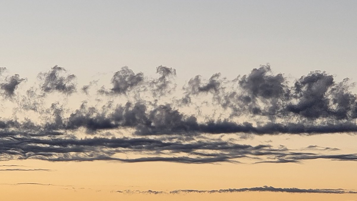 AZPuffins's tweet photo. Sometimes it's the simple things that bring about an inner smile and peaceful feeling.

It's no narwhal, but amazing none-the-less. 

#Sunrise #Tucson #azwx https://t.co/y8rzxT3ftY