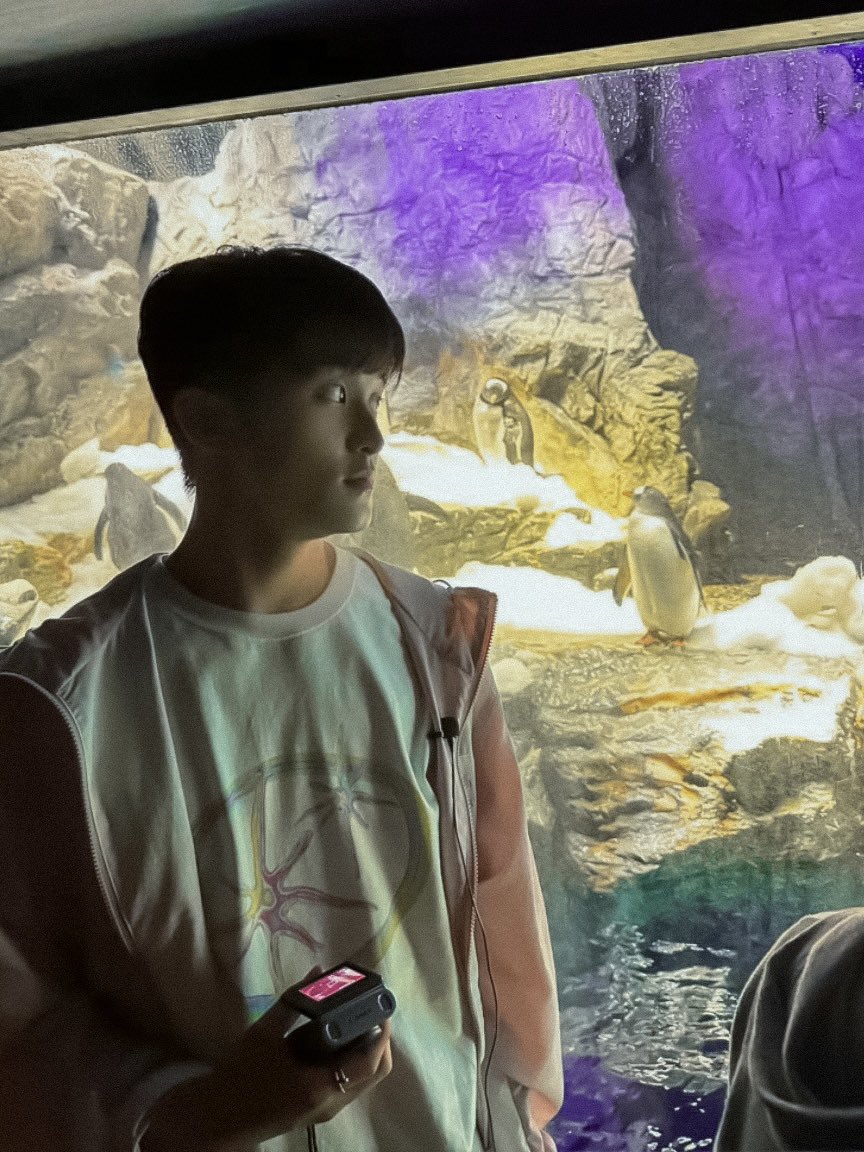 mark with the penguins