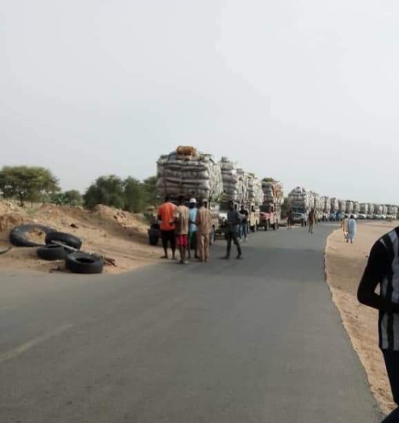 IssoufouMoust12's tweet photo. #Région_de_Diffa
Colonnes des véhicules des poissons fumés, une manne économique pour la région de Diffa.
Les fumées sont exportés principalement au Nigeria voisin. https://t.co/ONzftSZYb1