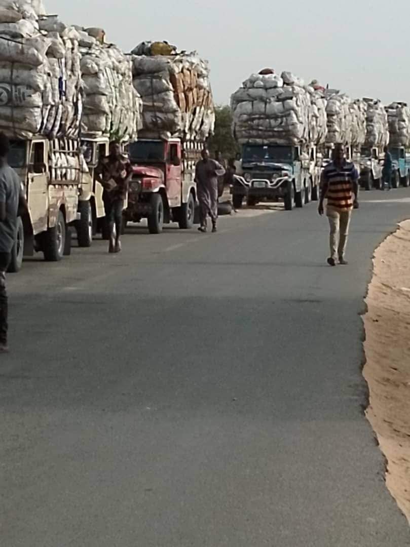 IssoufouMoust12's tweet photo. #Région_de_Diffa
Colonnes des véhicules des poissons fumés, une manne économique pour la région de Diffa.
Les fumées sont exportés principalement au Nigeria voisin. https://t.co/ONzftSZYb1