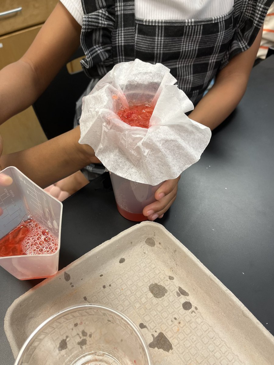 TruaxEduc's tweet photo. Does all fruit have DNA?5th grade tested this question with blackberries and strawberries. Two for two on these fruits. @WCE_HCS @Tamikaknighton #winningforkids #STEMHenry https://t.co/lcZ86s0NZq