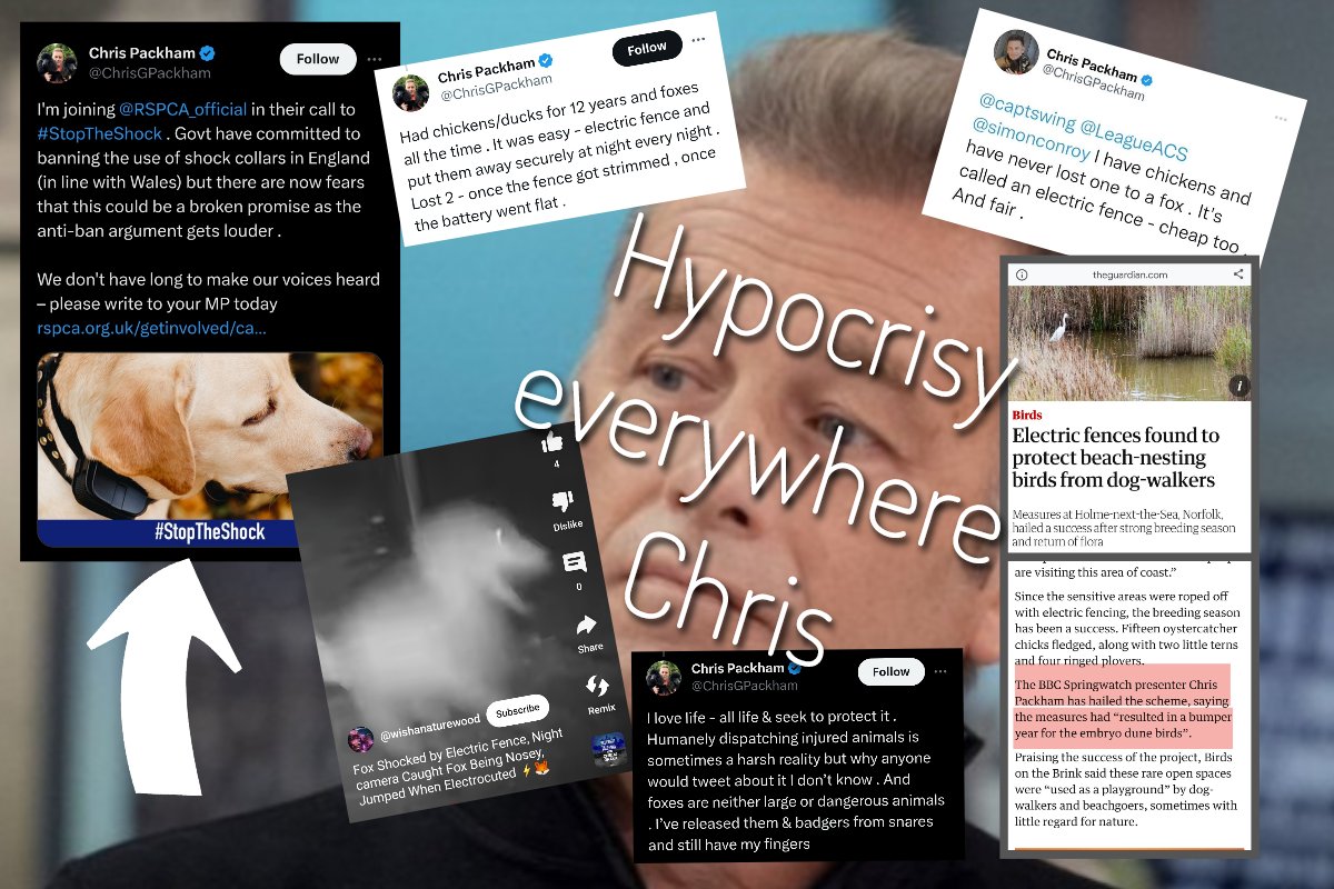 Privileged hypocrisy at it's finest. 

"Jumped  when electrocuted" "foxes are neither large or dangerous"

#wheresthesciencethough
#TheTruth 
#RestoreNatureNow
<a href="/DefraGovUK/">Defra UK</a> <a href="/RishiSunak/">Rishi Sunak</a> <a href="/PennyMordaunt/">Penny Mordaunt</a> <a href="/ChrisGPackham/">Chris Packham</a>
<a href="/RichardHRBenyon/">Richard Benyon</a> 
<a href="/RSPCA_official/">RSPCA (England & Wales)</a> <a href="/TelegraphNews/">Telegraph Breaking News</a> <a href="/thetimes/">The Times and The Sunday Times</a>