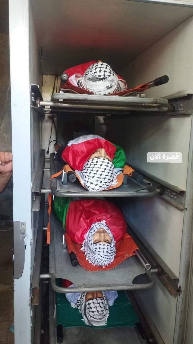 Timesofgaza's tweet photo. These four Palestinians were killed by lsraeli colonial settlers yesterday in Qusra, south of Nablus. https://t.co/XRe3MxYB3t