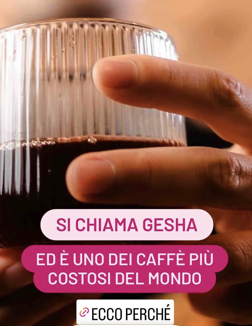 Perché il caffè Gesha è così costoso? cibotoday.it/storie/agricol…