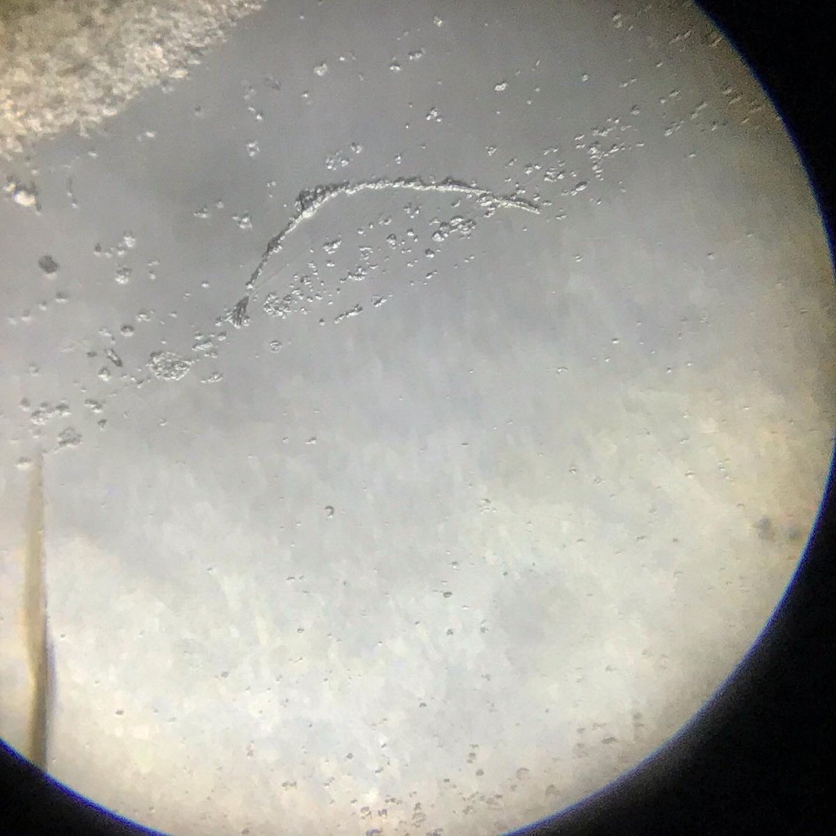 dasith_kemil's tweet photo. Inclusions inside Taaffeite Gem Mineral 💎😇❤️🇱🇰
#taaffeite #rare #gem #under #microscope #inclusions https://t.co/bMg1yMOPnD