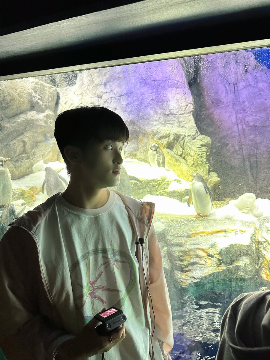 kei_8200's tweet photo. 아 너무너무너무 귀여운데 우짬!!!! https://t.co/5soeEEoaYK