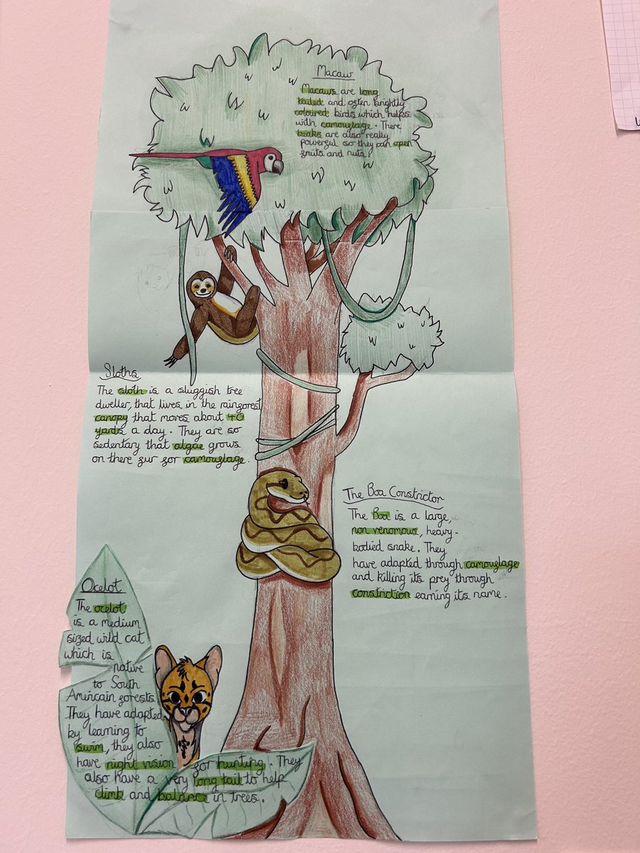 WGS Geog tweet media
