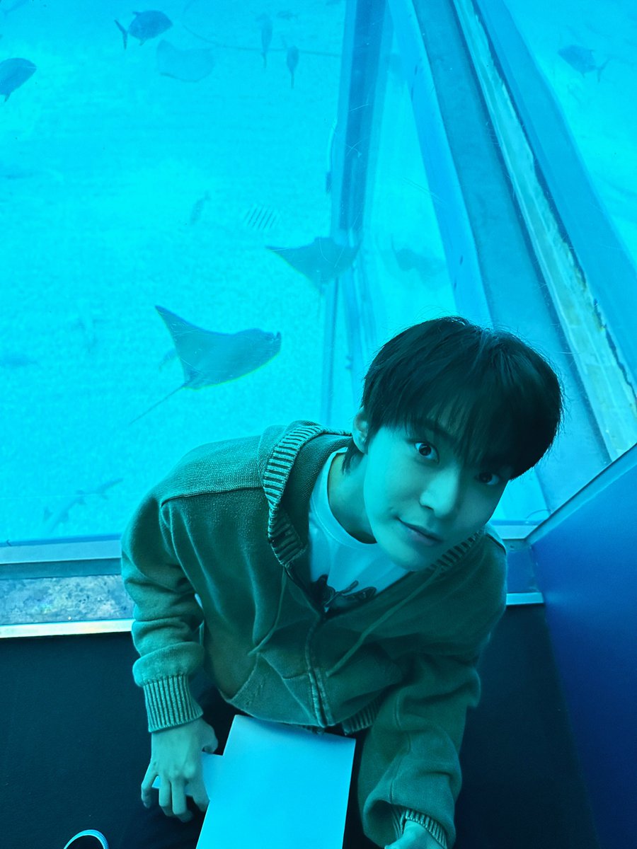 NCT 127 tweet media