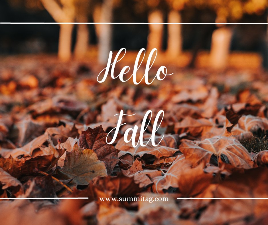 The leaves are falling, and farmers are harvesting. 
Can you smell fall in the air?

#Fall2023