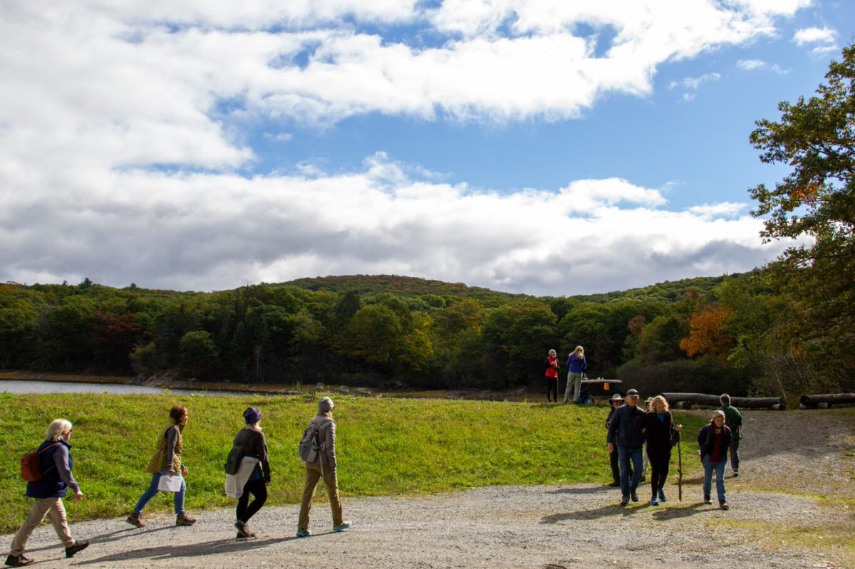 BRFConsortium's tweet photo. Interested in the timing of #fallfoliage, lifecycles of twisted-wing parasites, or #spottedturtles populations in our Forest? Become a Friend of the Forest https://t.co/JRlHBsfORH… and you can meet our scientists on 10/21 to learn more! #naturelovers #outdoorlearning https://t.co/mCzXWYHTwr
