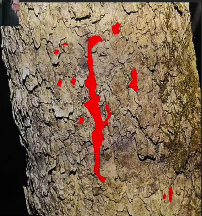 DoggoInJapan's tweet image. Apparent #delphi crime scene photos have been leaked to certain podcasters and creators

Some heads should roll for this, no civilian should have seen the others (as audibly described in places) 
This isn&apos;t #Justiceforlibbyandabby 

Credit @GrayHuze  for the below pictures