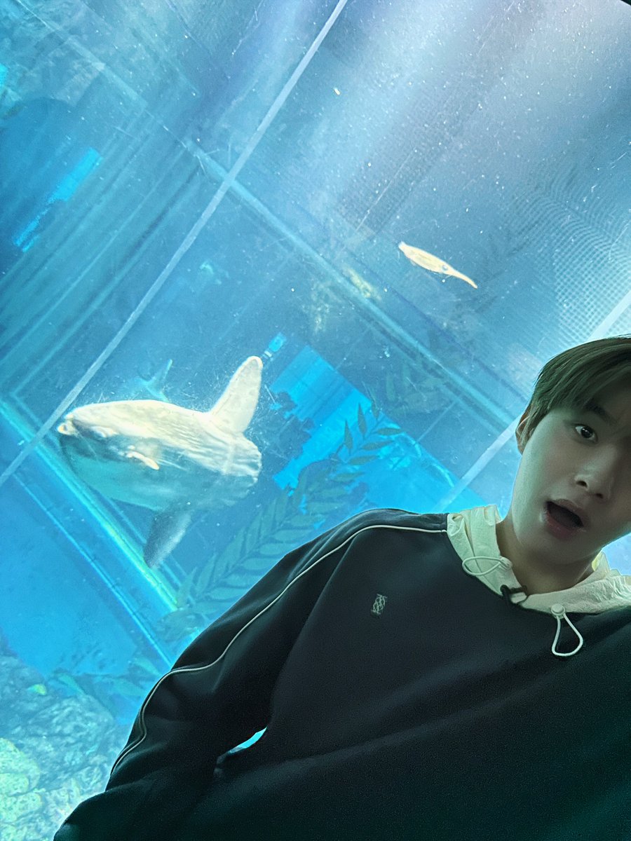 NCTsmtown_127's tweet photo. #JUNGWOO 🌟🐟

#NCT127 #불가���리를찾아서 #FactCheck
#不可思議 #NCT127_FactCheck
#NCT127_FactCheck_불가사의
#FactCheck_불가사의_不可思議 https://t.co/cd5bTpU4kY