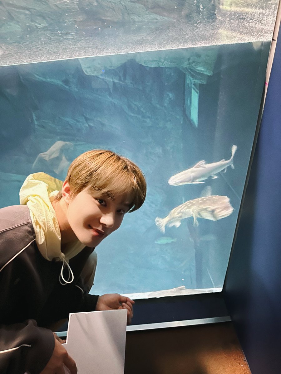 #JUNGWOO 🌟🐟

#NCT127 #불가사리를찾아서 #FactCheck
#不可思議 #NCT127_FactCheck
#NCT127_FactCheck_불가사의
#FactCheck_불가사의_不可思議